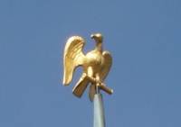 Napoleons Goldener Adler